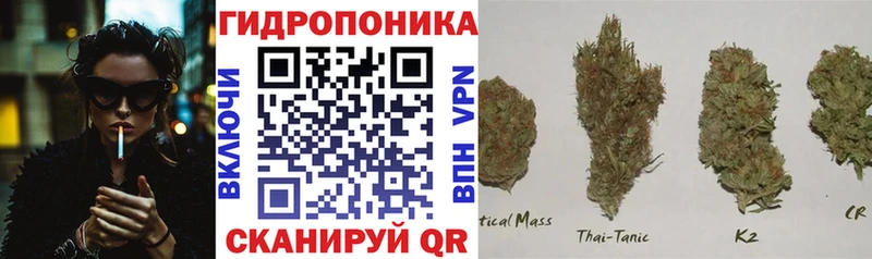 МАРИХУАНА конопля  гидра как зайти  Заозёрный 